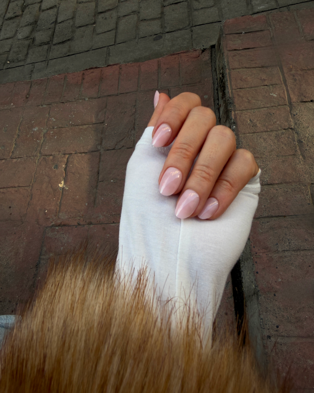 Dreamy Pink - Short Oval - 30 Adet Takma Tırnak