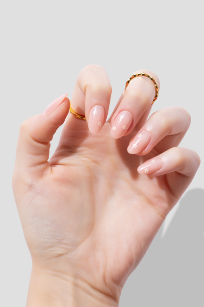 Daisy Dream - Short Oval - 30 Adet Takma Tırnak